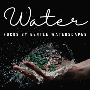 Aquatic Focus: Concentration with Soothing Water - Calming Waves Consort