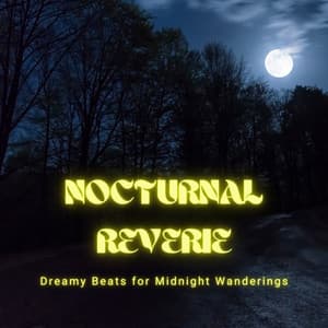 Nocturnal Reverie: Dreamy Beats for Midnight Wanderings - Cafe Lounge Groove