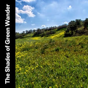 The Shades of Green Wander - Soothing Nature Sounds
