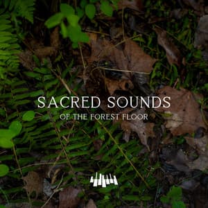 Sacred Sounds of the Forest Floor - Piano Music Spa