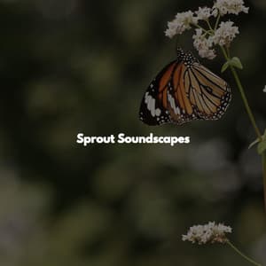 Sprout Soundscapes - Chilled Easy Listening Jazz