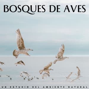 Bosques De Aves: Un Estudio Del Ambiente Natural - Estudio de sonidos de lluvia