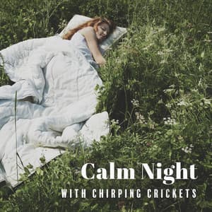 Calm Night with Chirping Crickets: Bedtime Crickets Sounds for Better Sleep, Summer Night Relaxation - Relaxing Night Music Academy