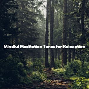 Mindful Meditation Tunes for Relaxation - Desayuno Jazz Playlist