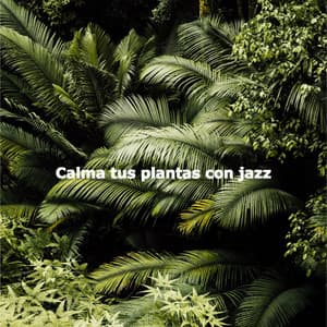 Calma tus plantas con jazz - Smooth Jazz Seduction