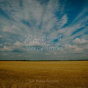 50 Light and Calm & Slow Sleepy Tracks - Exam Study Classical Music