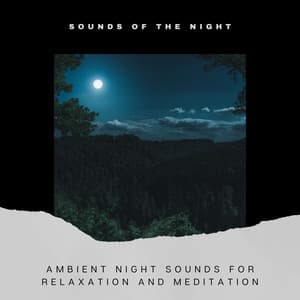 Ambient Night Sounds for Relaxation and Meditation - Sounds of the Night