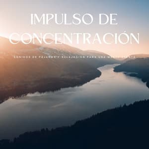Impulso De Concentración: Sonidos De Pájaros Y Relajación Para Una Mente Atenta - Pájaros y abejas etc