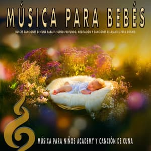 Música para Bebés: Dulces Canciones de Cuna para el Sueño Profundo, Meditación y Canciones Relajantes para Dormir - MÚSICA PARA NIÑOS Academy