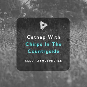 Catnap With Chirps In The Countryside - Sleep Atmospheres