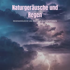 Naturgeräusche und Regen CD – Regengeräusche und Gewitter zum Entspannen - Gewitter Naturgeräusche Entspannungsmusik