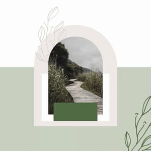 Feelings for Enjoying Nature - Chill Music for Reading