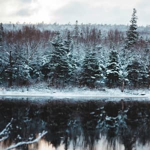 10 Waves: A Beautiful Wild - Spa Music Relaxation