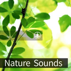 Nature Sounds - Satorio