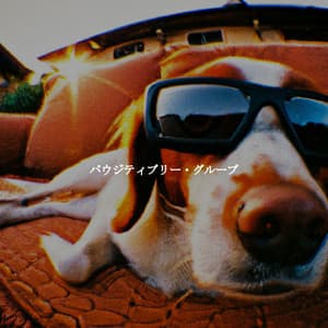 パウジティブリー・グルーブ - Night-Time Jazz