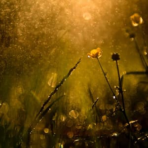 Island Infinity: Chill Music Rain Horizon - Shoreline Sounds