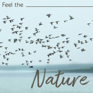 Feel the Nature: Deeply Relaxing Sounds of Birds and Water Elements - Life Sounds Nature