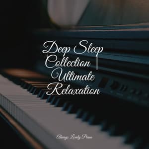 Deep Sleep Collection | Ultimate Relaxation - Chilled Jazz Masters