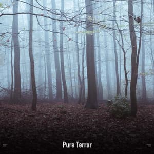 !!!!" Pure Terror "!!!! - The Citizens of Halloween