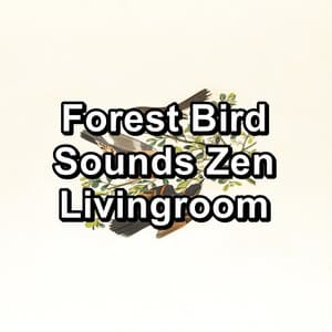 Forest Bird Sounds Zen Livingroom - Bird Sounds