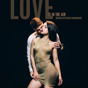 Love is in the Air. Making Love Music Background - Deep Erotica