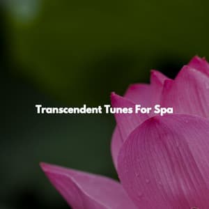Transcendent Tunes For Spa - Música para Descansar