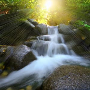 Melodías De Spa Relajantes: Calma Y Paz Rítmica - Rincón de Sonidos