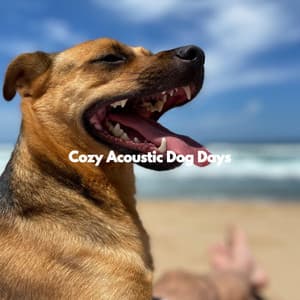 Cozy Acoustic Dog Days - Dog Separation Anxiety Music
