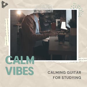 Calming Guitar for Studying - Calm Vibes