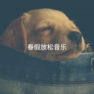 春假放松音乐 - Cafe Chillout de Ibiza