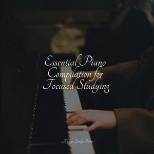 Essential Piano Compilation for Focused Studying - Concentrate with Classical Piano