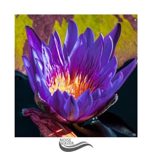 Perfect Brown Noise - Pink Noise for Sleep