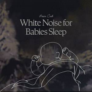 White Noise for Babies Sleep - Bear Cub