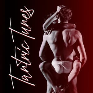 Tantric Tunes - Tantric Vibrations