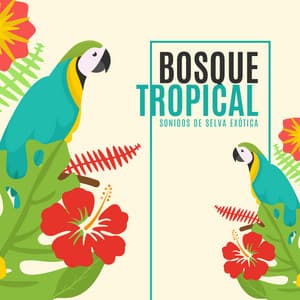 Bosque Tropical: Sonidos de Selva Exótica - Naturaleza Salvaje para Relajación, Buenas Sensaciones y Armonia Perfecta - Zona de Relajación del Cielo