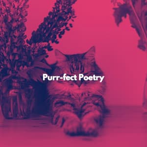 Purr-fect Poetry - Cat Music Zone