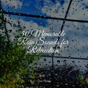 50 Memorable Rain Sounds for Relaxation - Sons da Natureza Relax