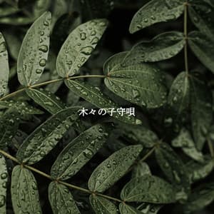 木々の子守唄 - Harlem Jazz Guitar Quartet