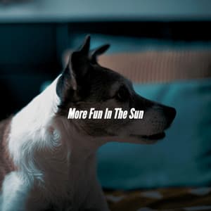 More Fun In The Sun - Jazz Rilassante Collezioni