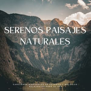 Serenos Paisajes Naturales: Canciones Binaurales De Pájaros Y Melodías Relajantes Para El Spa - Naturaleza y sonidos de pájaros