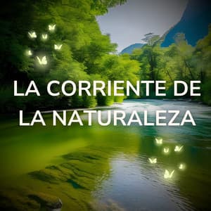 La Corriente de la Naturaleza - Naturaleza Sonidos