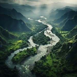 River Flow Yoga: Harmonious Balance - Zoocatchers