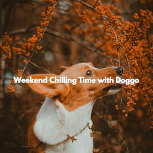 Weekend Chilling Time with Doggo - Study Music Deluxe