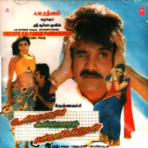 Unnaiye Kalyanam Pannikkiren - Sandeep Chawtha