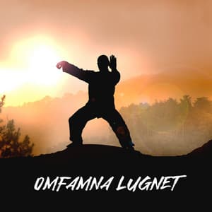 Omfamna lugnet: Tai Chi-flöjtmusik, Skapa harmoni, Långsamma rörelser, Själ-kropp träning - Lugn Musik Atmosfär