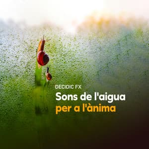 Sons de l'aigua per a l'ànima - Decidic FX
