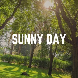 Sunny Day - Actors of Nature
