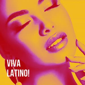 Viva Latino! - Bachata Latin Band
