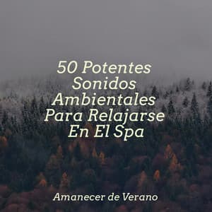 50 Potentes Sonidos Ambientales Para Relajarse En El Spa - kinderliedjes