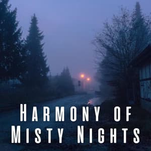 Harmony of Misty Nights - Chill Lounge Vibes